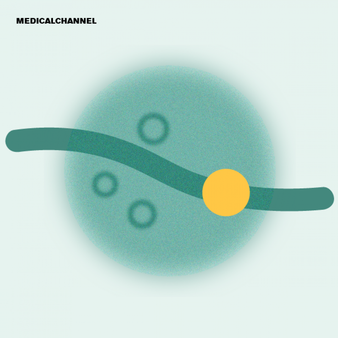 The End of the Biopsy Era? AI and Imaging in Modern Dermatology